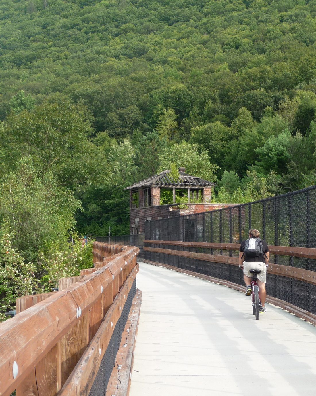 A cyclist crossing a trestle bridge on the Lehigh Gorge Trail in Pennsylvania surrounded by fresh green forest
